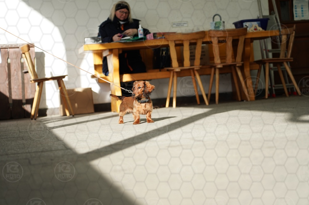 s_A9_09063.jpg